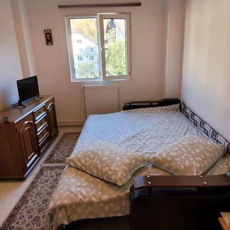Patricia Apartment Sinaia Dış mekan fotoğraf